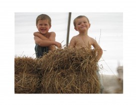 hay and boys
