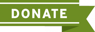 Donate Button Green Large
