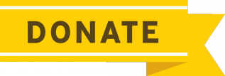 Donate Button Yellow Large