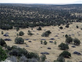 Ranney Ranch, New Mexico Holistic Management