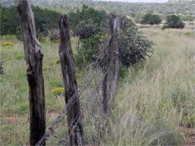 Ranney Ranch Fenceline Comparison