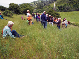 TomKat Ranch Day Group Field