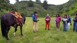 TomKat Ranch Dayhorse-group-crop-small