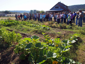 Participants tour Montesino, learning the benefits of no-till and weeds.