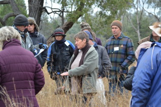 Judi leads a discussion on forage assessment, utilization and grazing planning