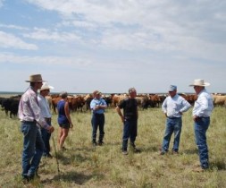 A small group evaluates land and herd health during a cattle move at Day Springs Farm. 