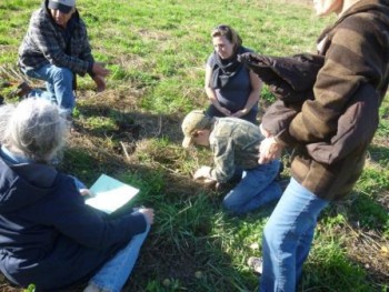 Small groups evaluate ecosystem processes on the land at Richards Family Ranch 