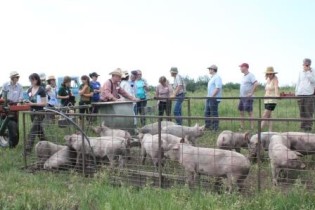 Participants view the pastured pig set up at Ruzicka Sunrise Farms.