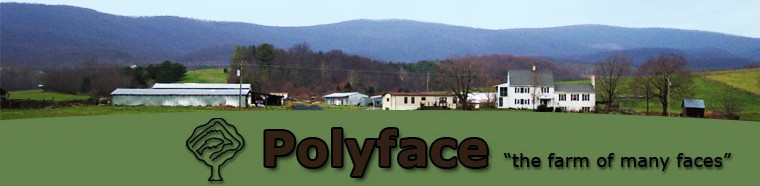 polyface-farm