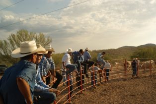 mexico-rancho-el-represo-gate