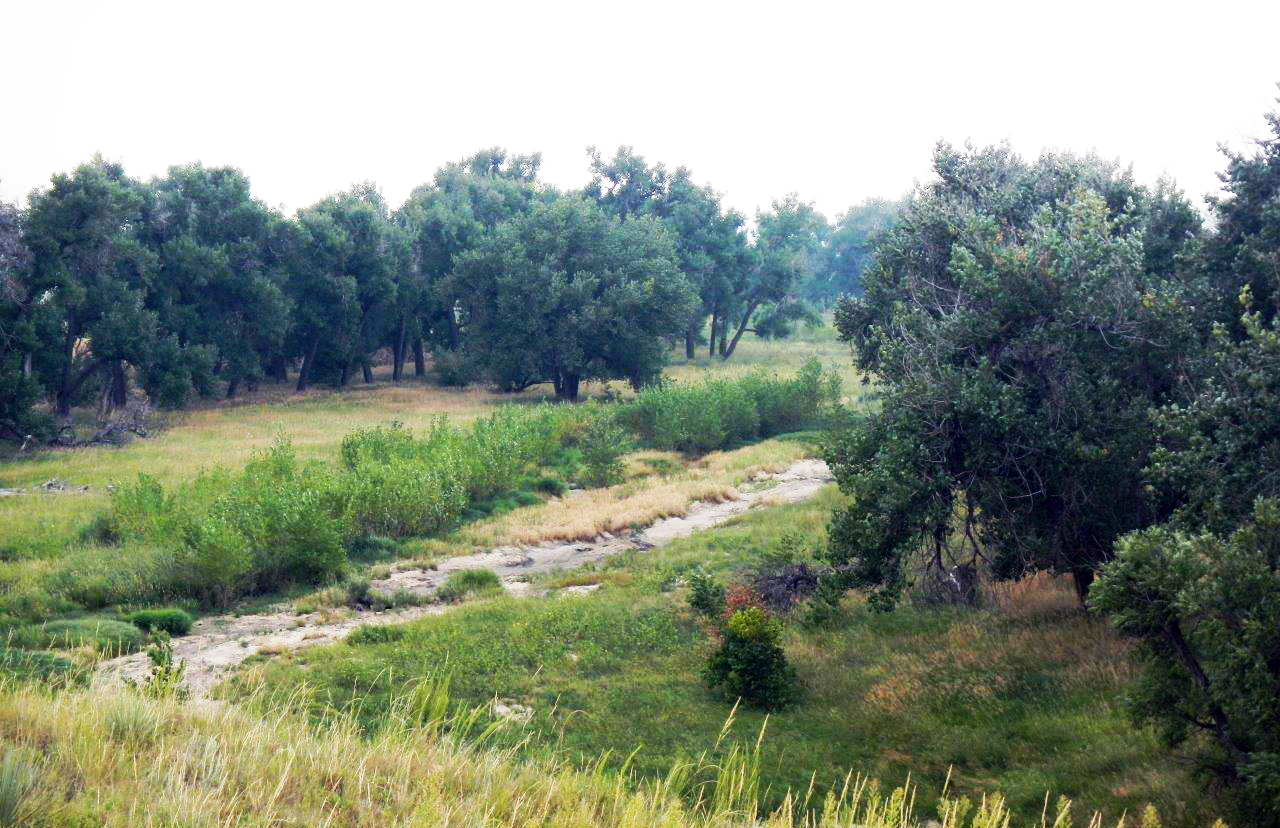 riparian area lowry range