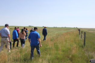 group out observing the grazing cell 2