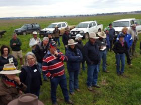 45 participants learned about how improved land health has multiple benefits.