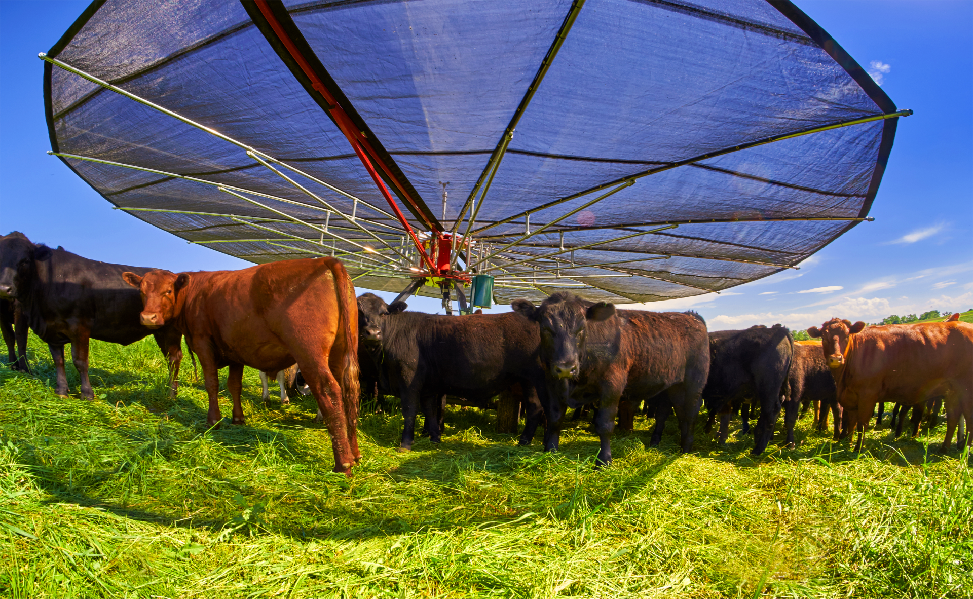 Organic non-GMO Homestead Supplies ~ Down A Cow Trail