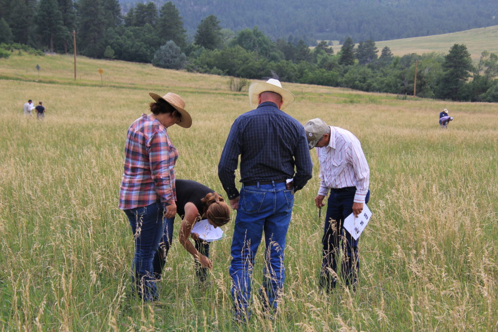 FFA – U.S. Farmers & Ranchers in Action
